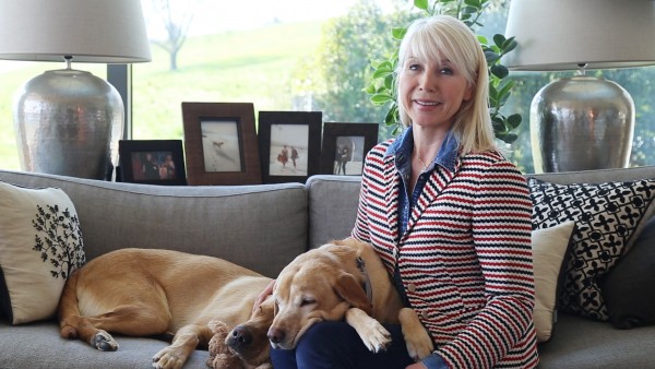 Welcome to Viking.TV