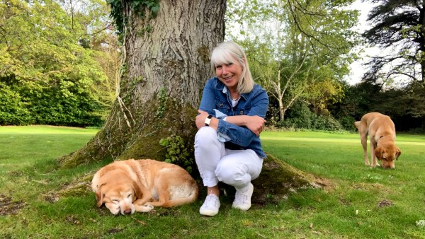 This week: Photography